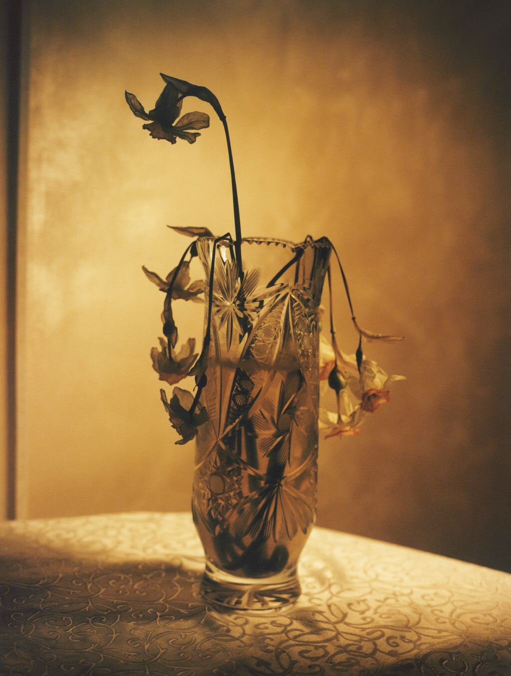Irreversibly Altered - © Essential Goods