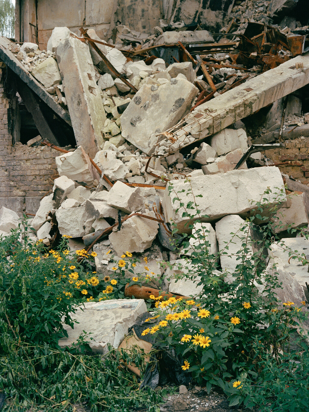 Irreversibly Altered - © Essential Goods